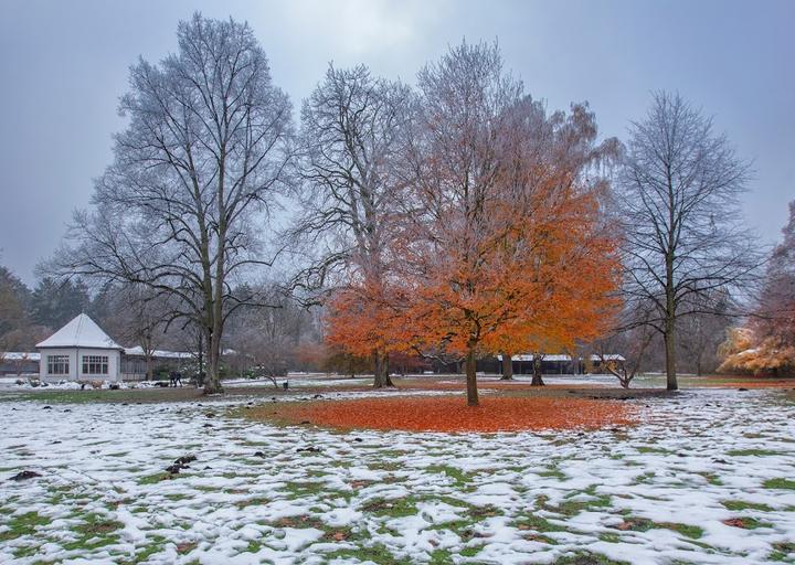 Café im Kurpark